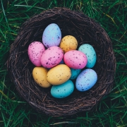 Bunte Eier in einem Nest